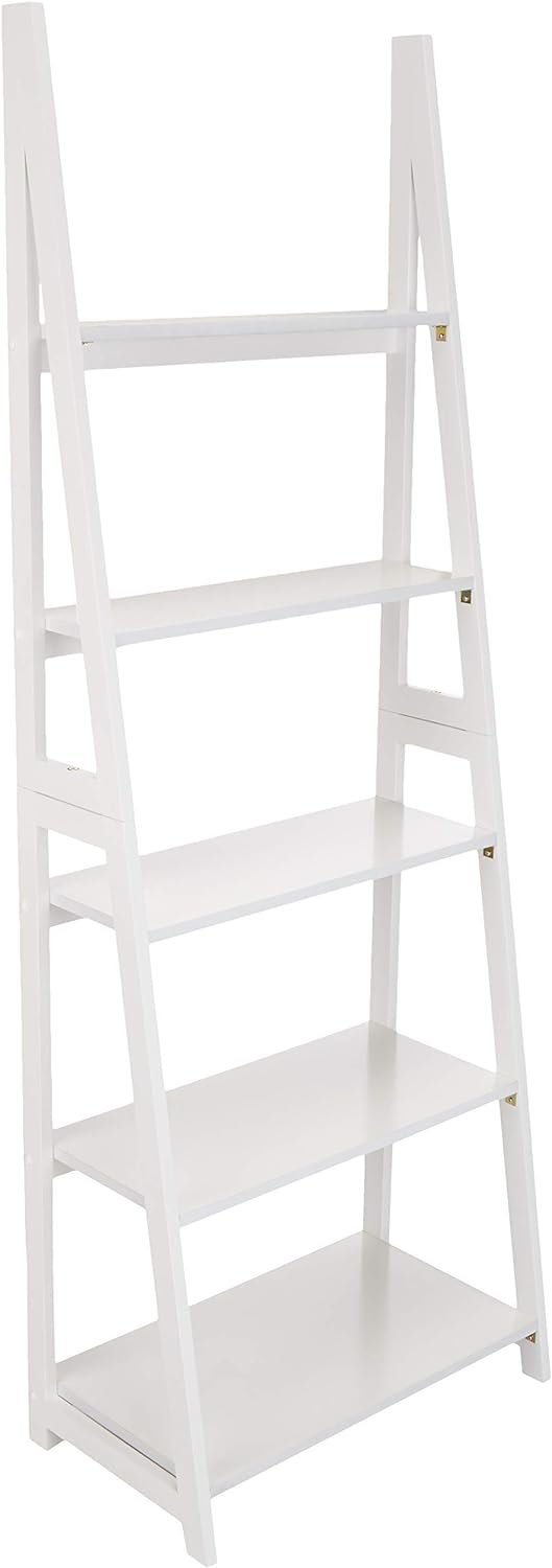 Amazon Basics Modern 5-Tier Ladder Bookshelf Organizer Review