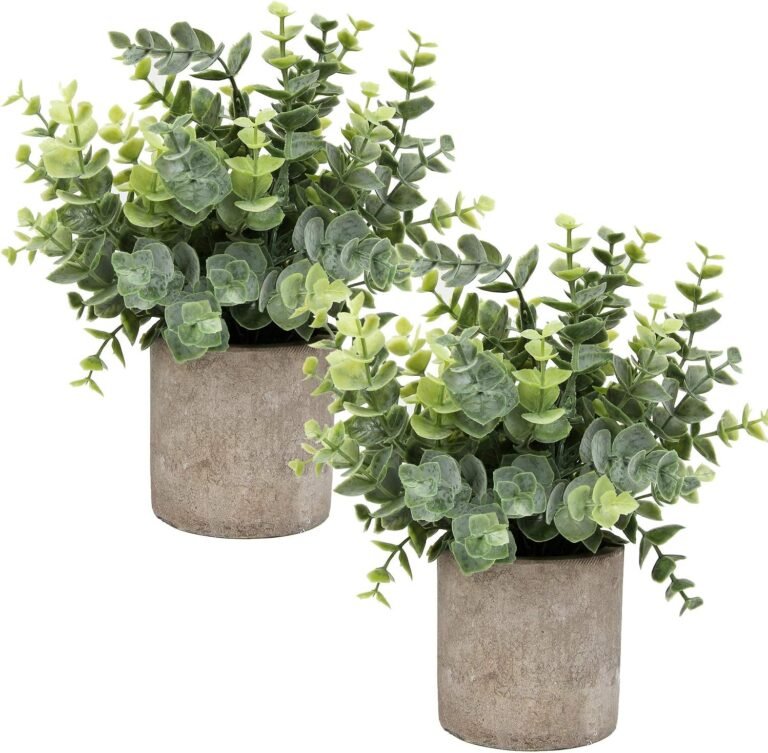 Flojery Mini Potted Plants Artificial Eucalyptus – Home Decor Review