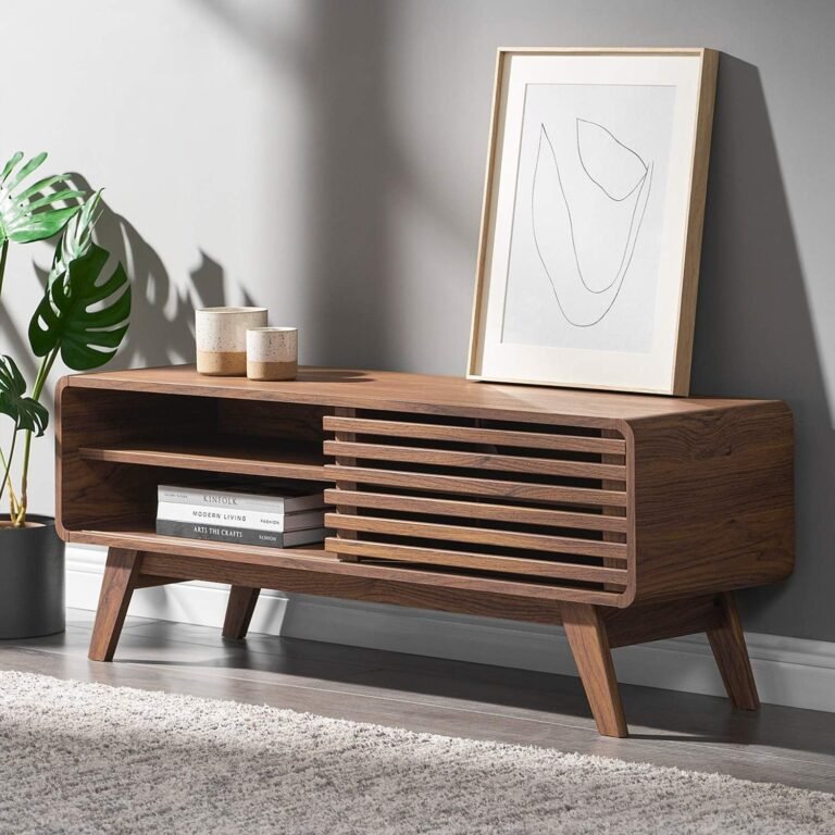 Mopio Ensley TV Stand: Stylish Storage Solution