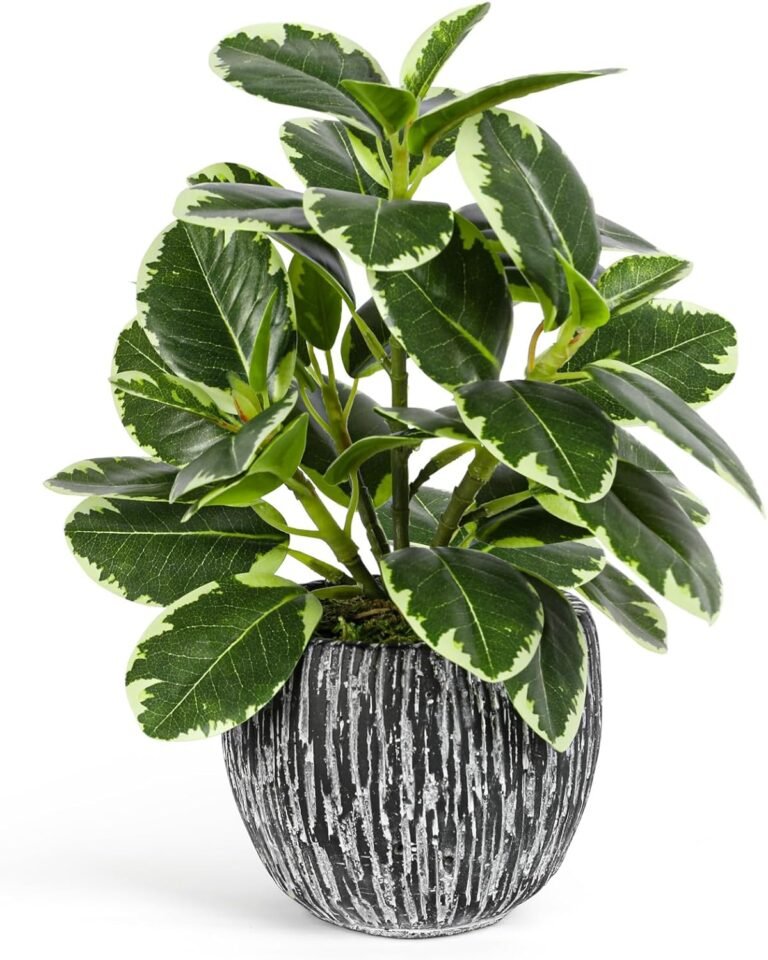 Artificial Plants Indoor Outdoor Review