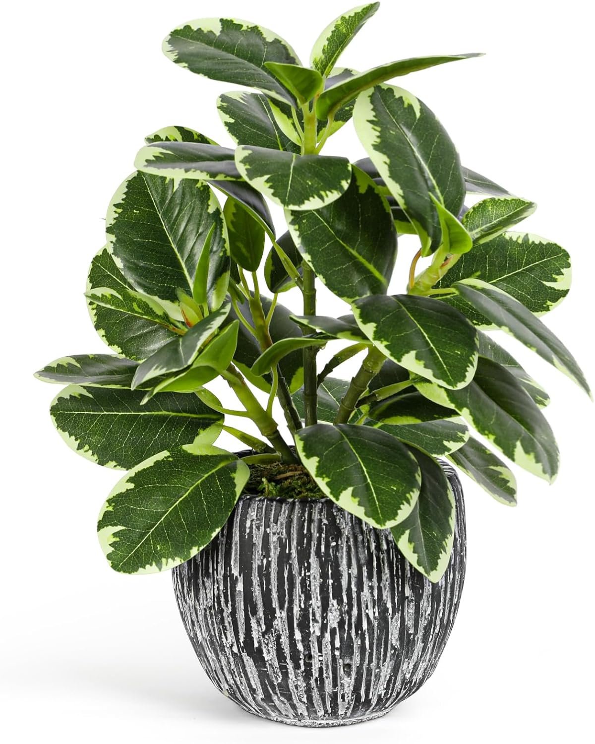 Artificial Plants Indoor Outdoor, Faux Variegated Oak Leaf Plant, Fake Potted Plants Artificial Decor for Coffee Table Desk Shelf, Faux Plants Indoor for Living Room Bathroom Bedroom Entryway Office