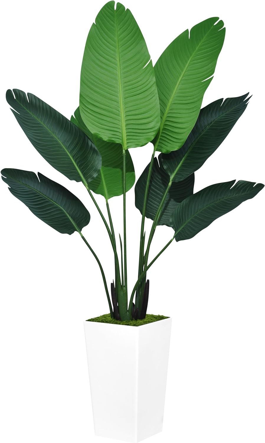 Bird of Paradise Artificial Plant 5FT - Faux Tropical Palm Tree with White Tall Planter - Fake Floor Plant Potted - Artificial Silk Tree for Home Office Living Room Decor Indoor