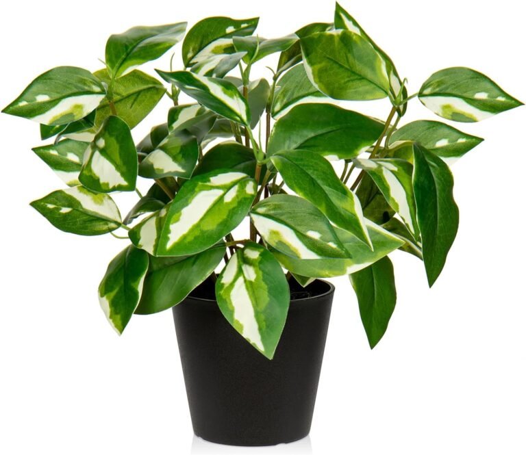 Oairse Faux Pothos: Hassle-Free Greenery
